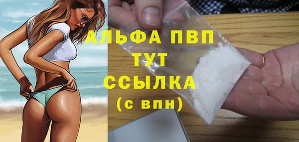 спайс Инта